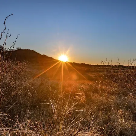 Appartementhaus Bracht - Sonnengruss *